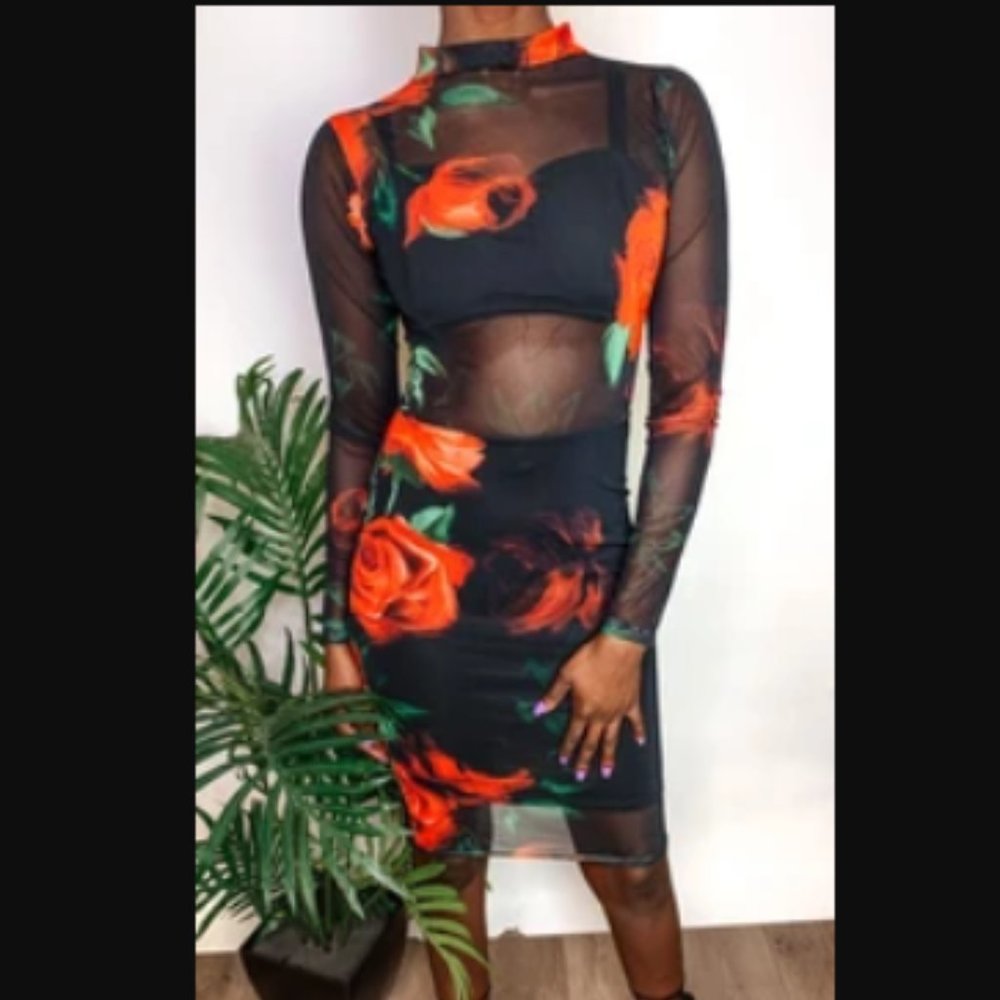 Roses Are Red Mesh Dress